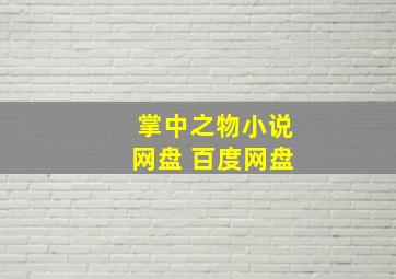 掌中之物小说网盘 百度网盘